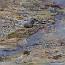 thumbs/E5D_5122.jpg